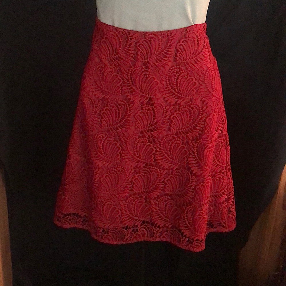 Loft A-Line brocade Lace skirt